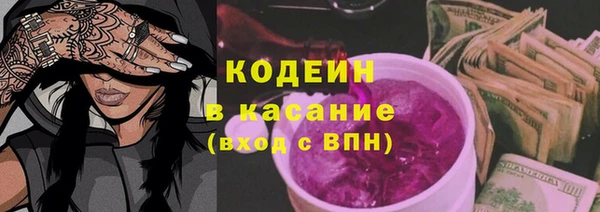 ПСИЛОЦИБИНОВЫЕ ГРИБЫ Арсеньев
