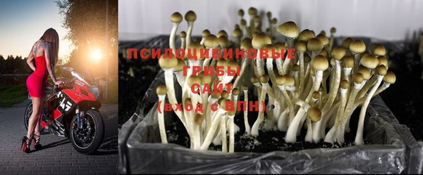 круглые Армянск