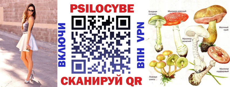 гидра   Заволжск  Галлюциногенные грибы Psilocybine cubensis 